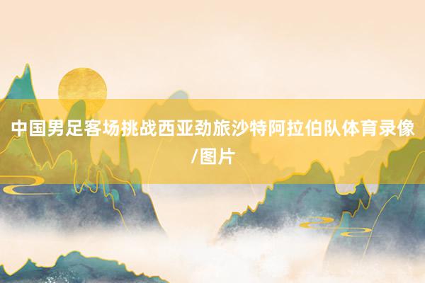 中国男足客场挑战西亚劲旅沙特阿拉伯队体育录像/图片