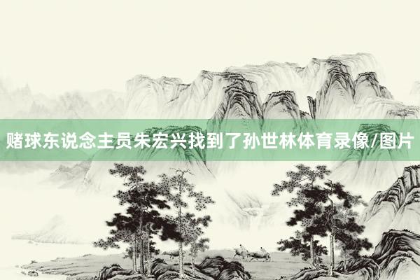 赌球东说念主员朱宏兴找到了孙世林体育录像/图片