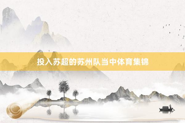投入苏超的苏州队当中体育集锦