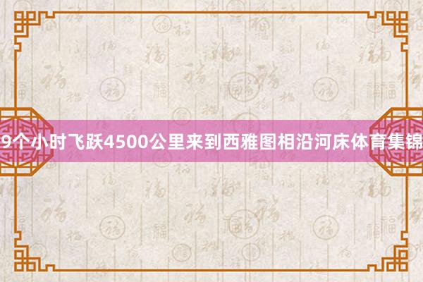9个小时飞跃4500公里来到西雅图相沿河床体育集锦