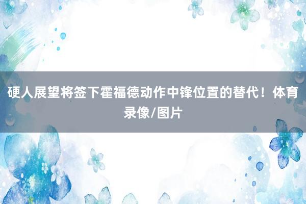 硬人展望将签下霍福德动作中锋位置的替代！体育录像/图片