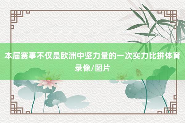 本届赛事不仅是欧洲中坚力量的一次实力比拼体育录像/图片