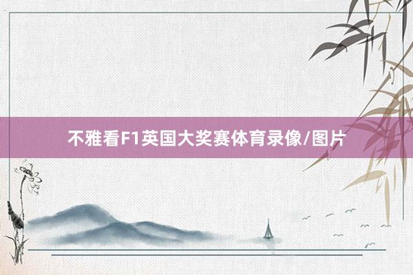 不雅看F1英国大奖赛体育录像/图片