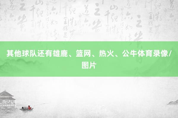 其他球队还有雄鹿、篮网、热火、公牛体育录像/图片