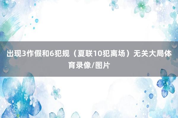 出现3作假和6犯规（夏联10犯离场）无关大局体育录像/图片