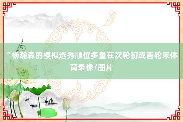 “杨瀚森的模拟选秀顺位多量在次轮初或首轮末体育录像/图片