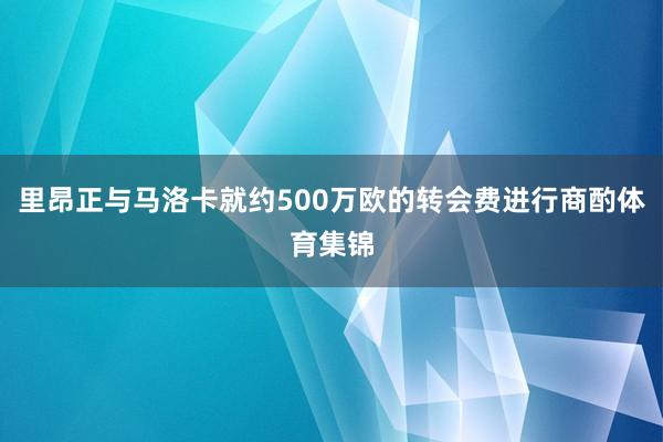 里昂正与马洛卡就约500万欧的转会费进行商酌体育集锦