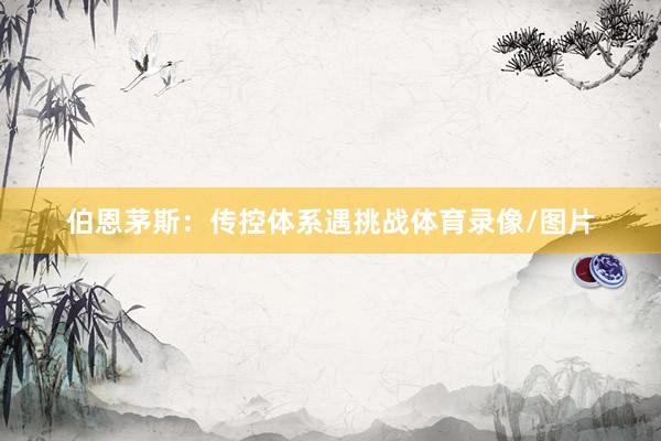 伯恩茅斯：传控体系遇挑战体育录像/图片