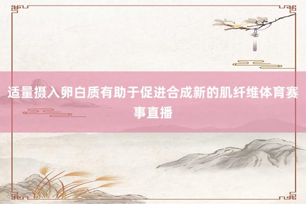 适量摄入卵白质有助于促进合成新的肌纤维体育赛事直播