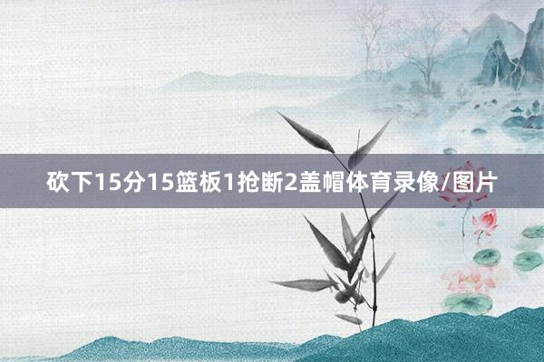 砍下15分15篮板1抢断2盖帽体育录像/图片