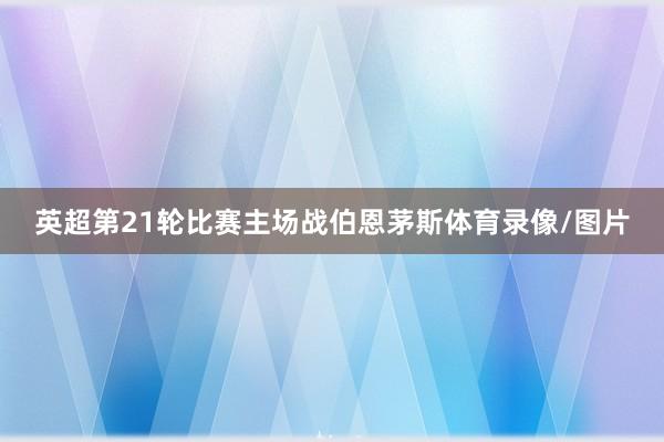 英超第21轮比赛主场战伯恩茅斯体育录像/图片