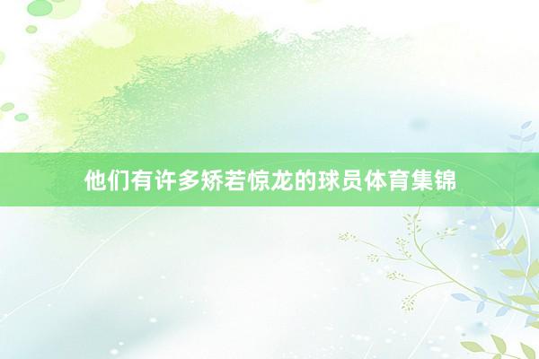他们有许多矫若惊龙的球员体育集锦