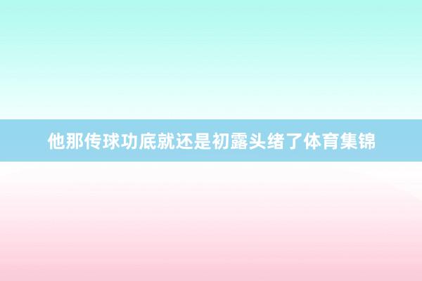 他那传球功底就还是初露头绪了体育集锦